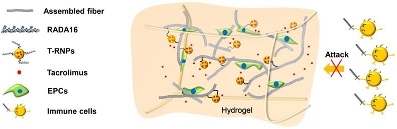 Theranostics Image