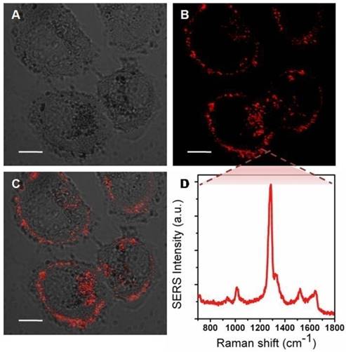 Theranostics Image