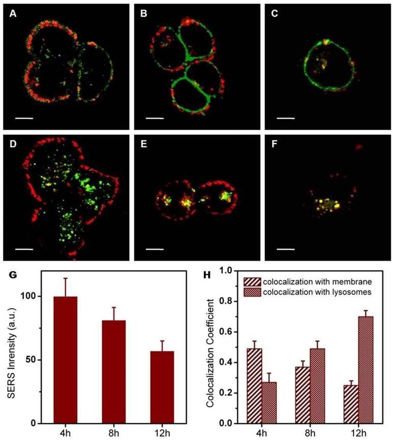 Theranostics Image