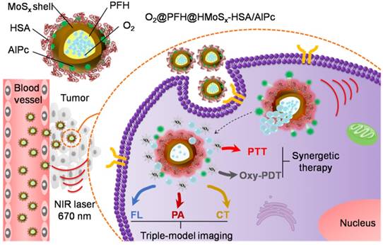 Theranostics Image