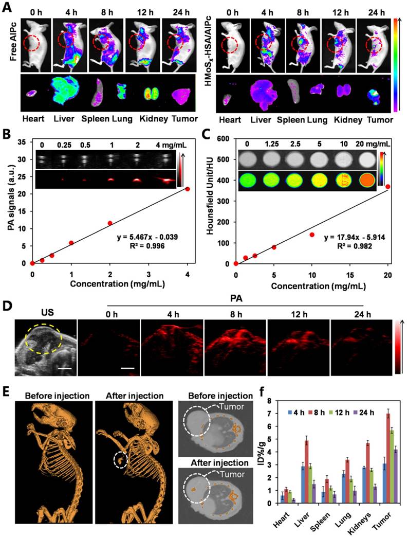 Theranostics Image