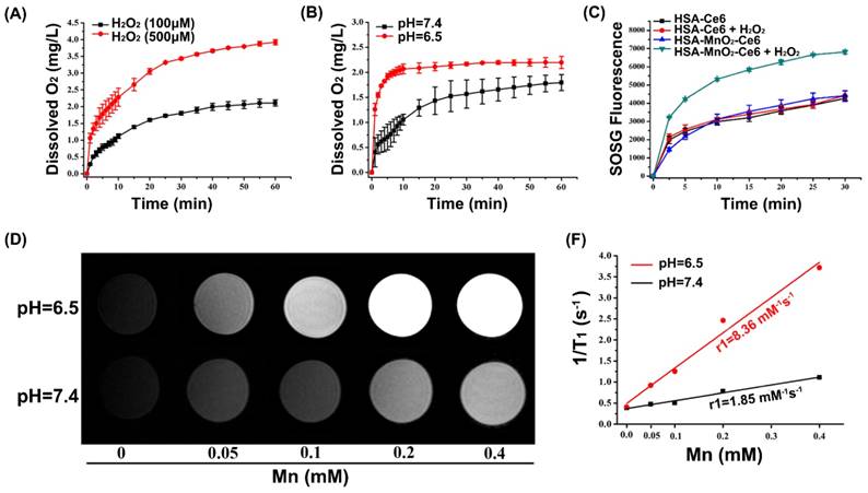 Theranostics Image