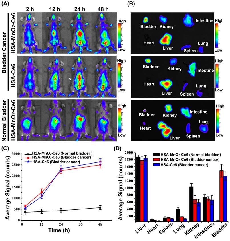 Theranostics Image