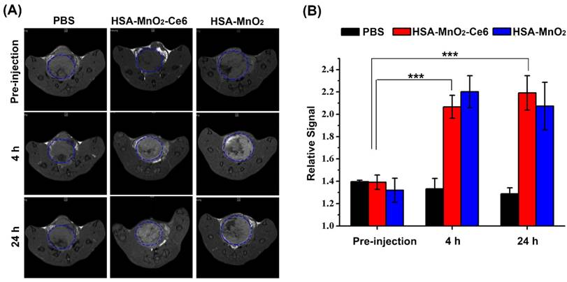 Theranostics Image