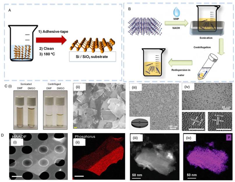 Theranostics Image