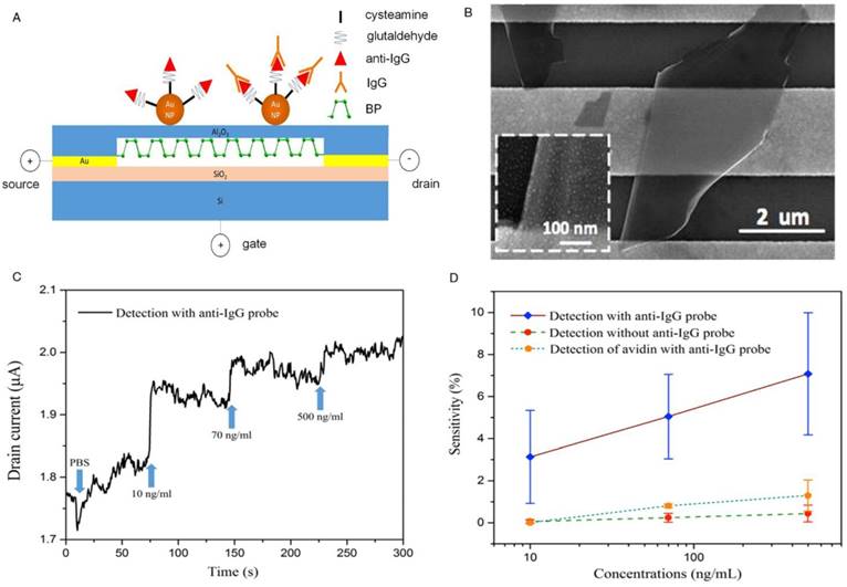 Theranostics Image