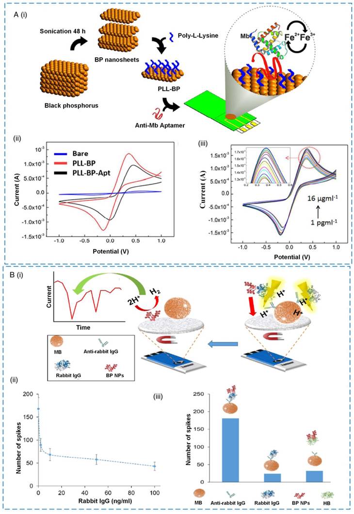 Theranostics Image