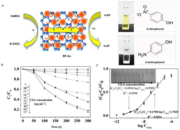 Theranostics Image