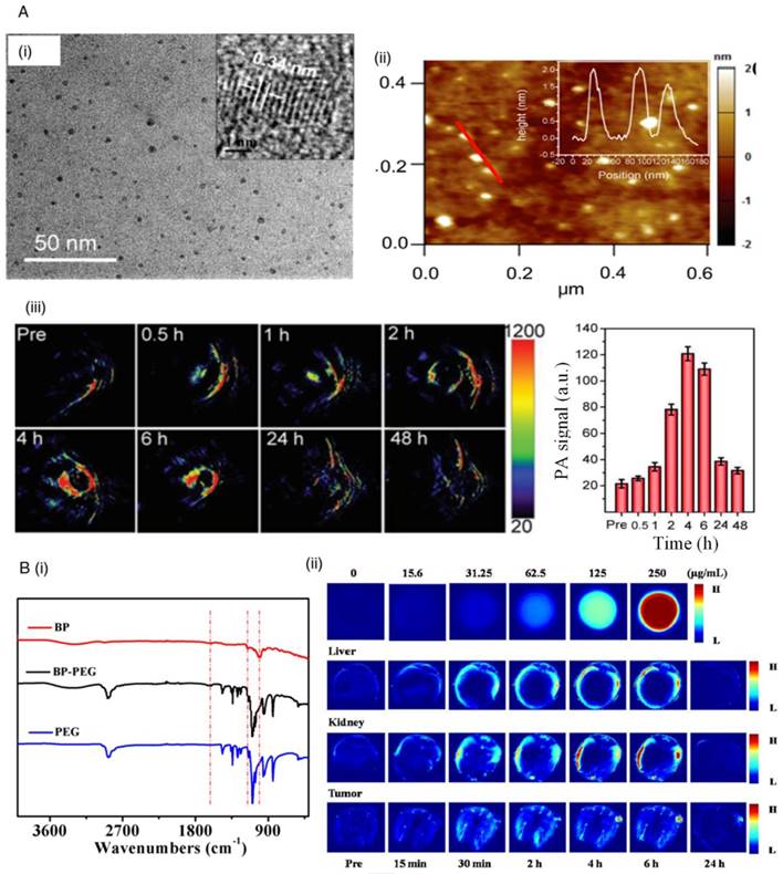 Theranostics Image