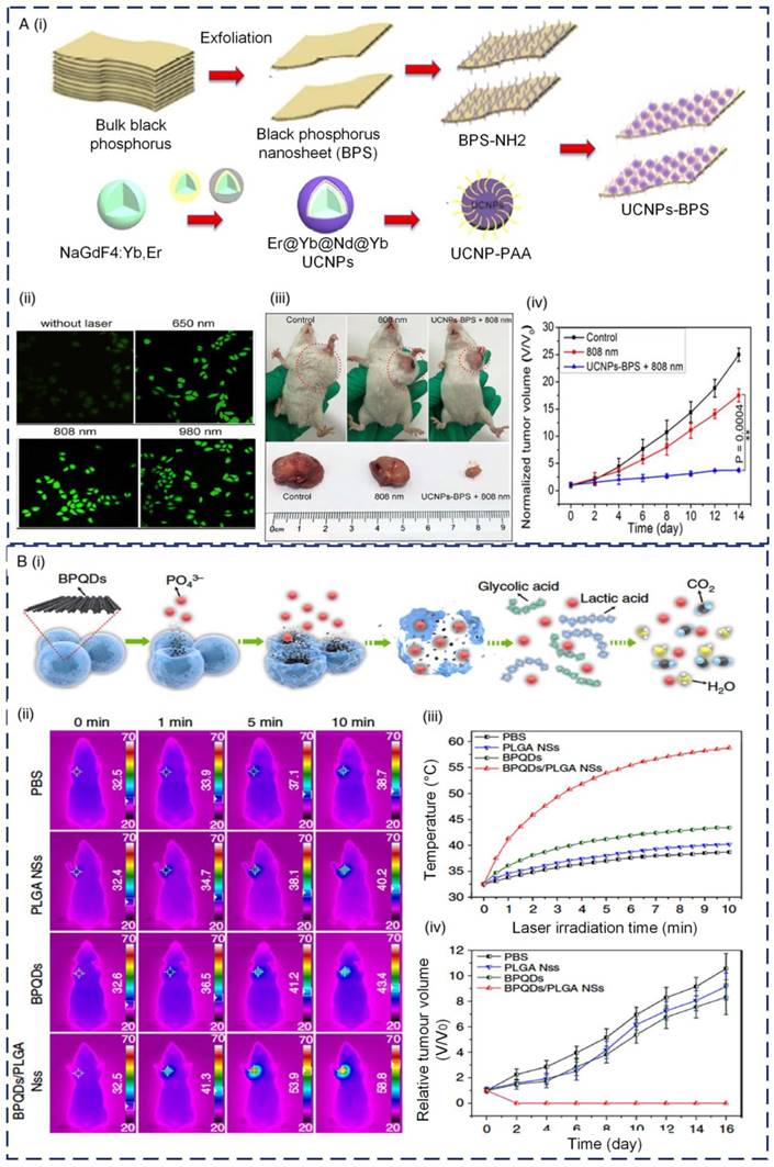 Theranostics Image