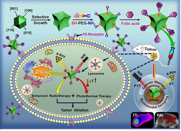 Theranostics Image