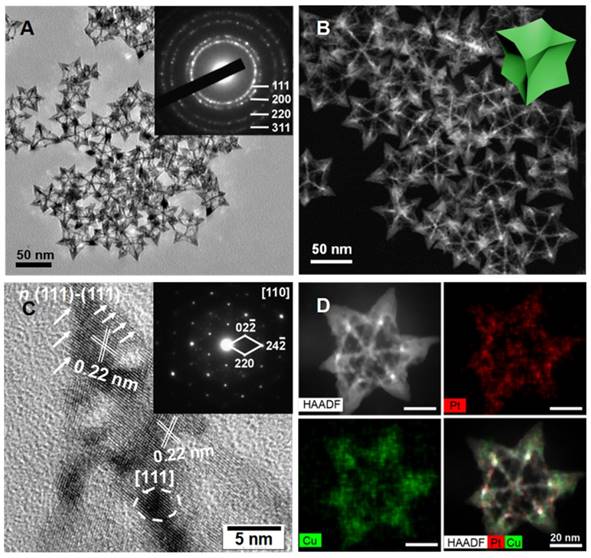 Theranostics Image