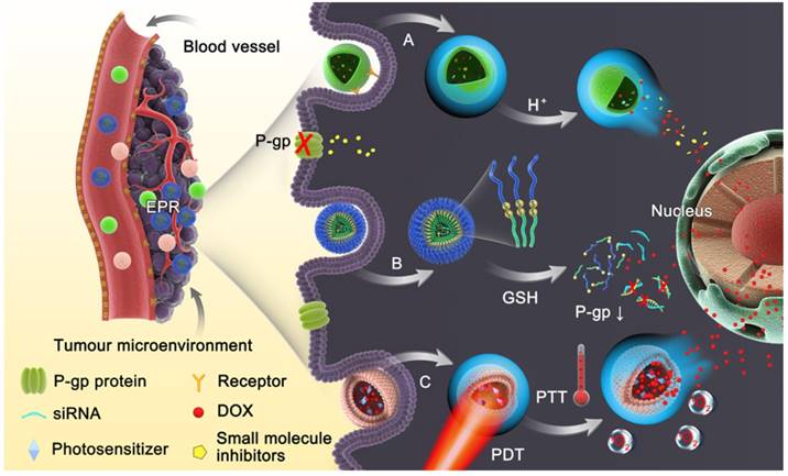 Theranostics Image