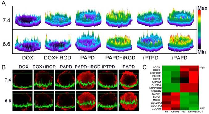 Theranostics Image