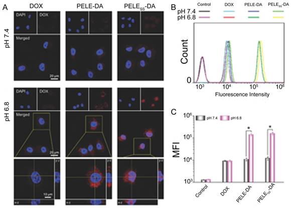 Theranostics Image