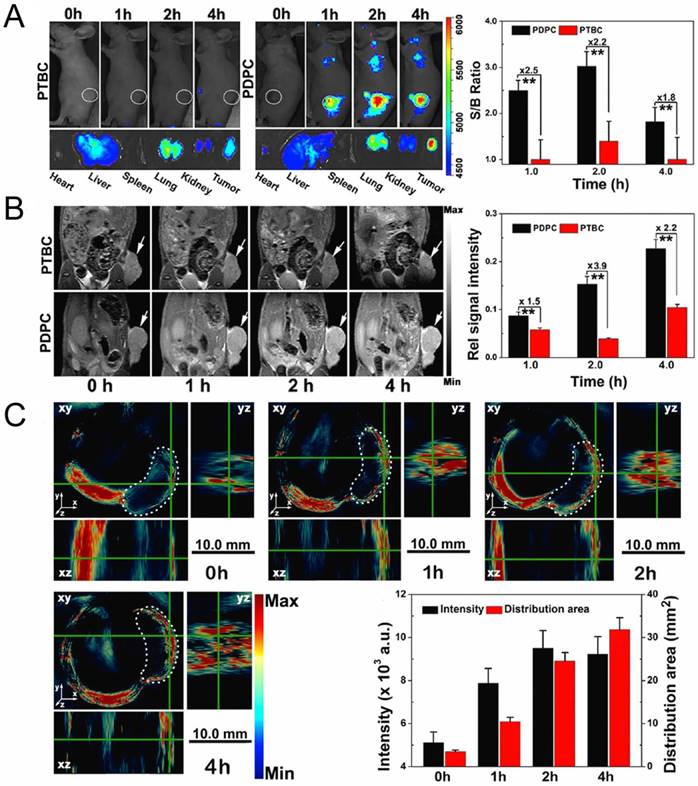 Theranostics Image