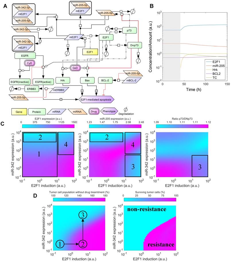 Theranostics Image