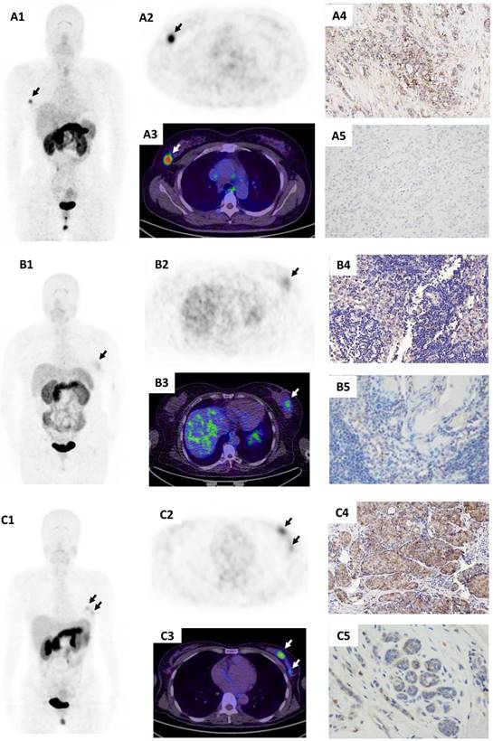 Theranostics Image