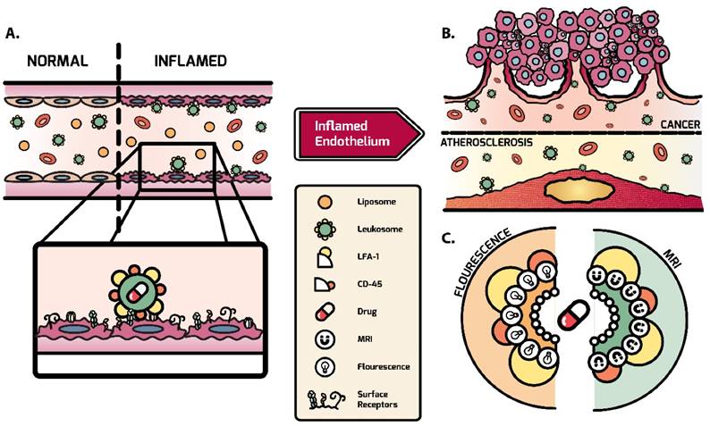 Theranostics Image