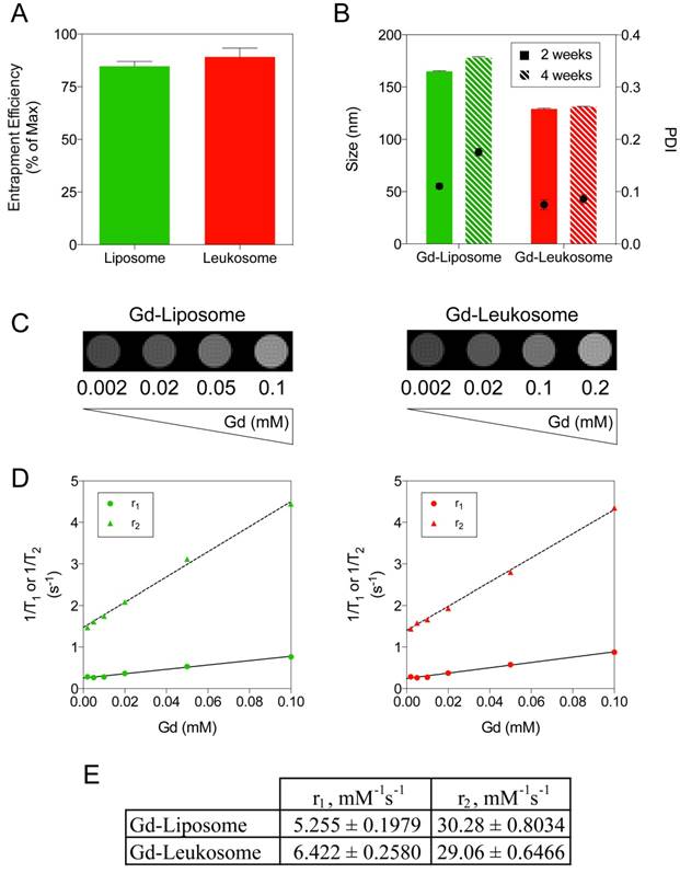 Theranostics Image