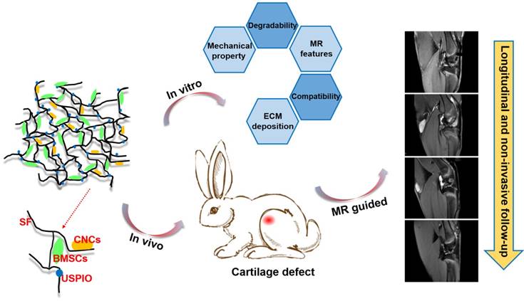 Theranostics Image