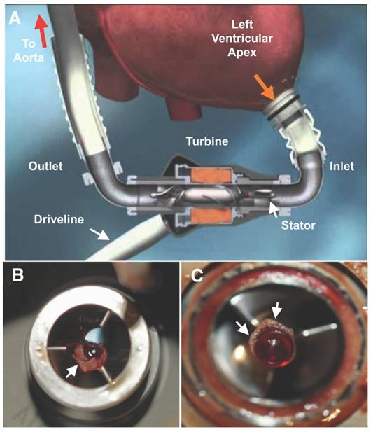 Theranostics Image