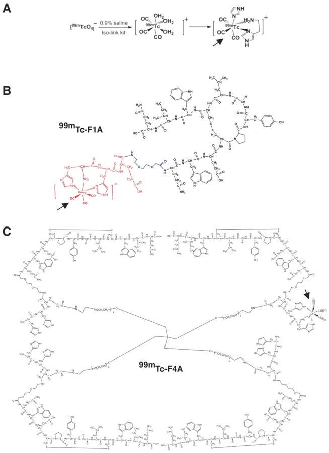 Theranostics Image