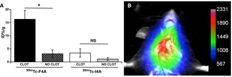 Theranostics Image