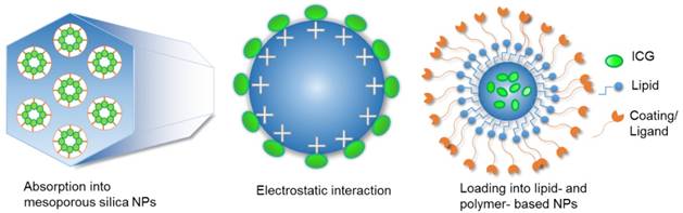 Theranostics Image