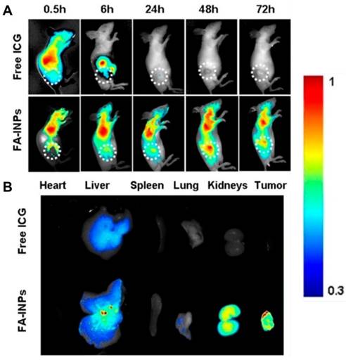 Theranostics Image