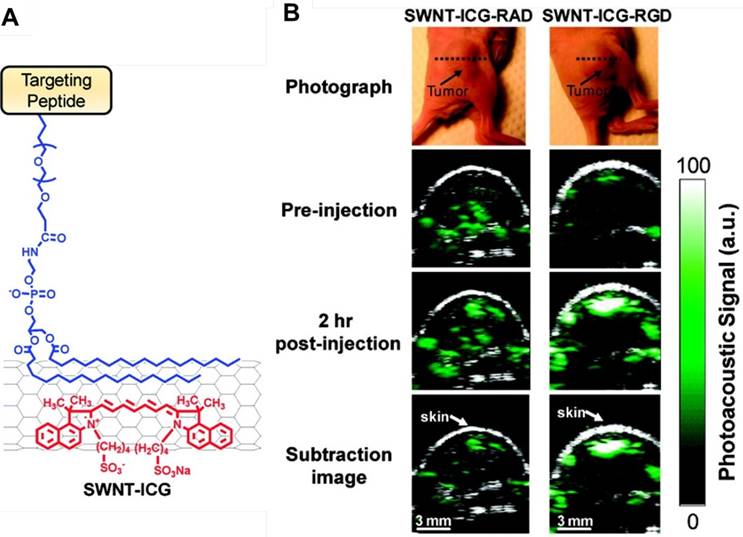 Theranostics Image