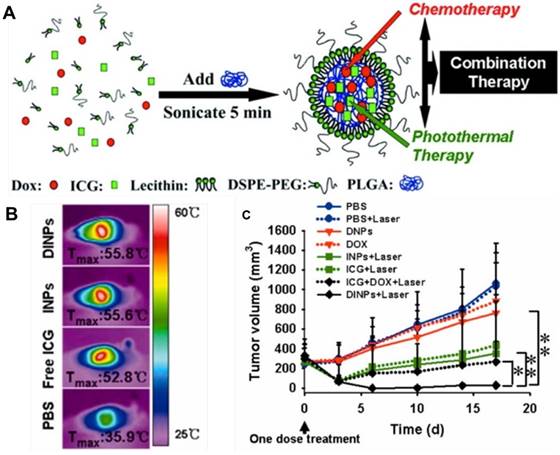 Theranostics Image