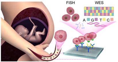 Theranostics Image