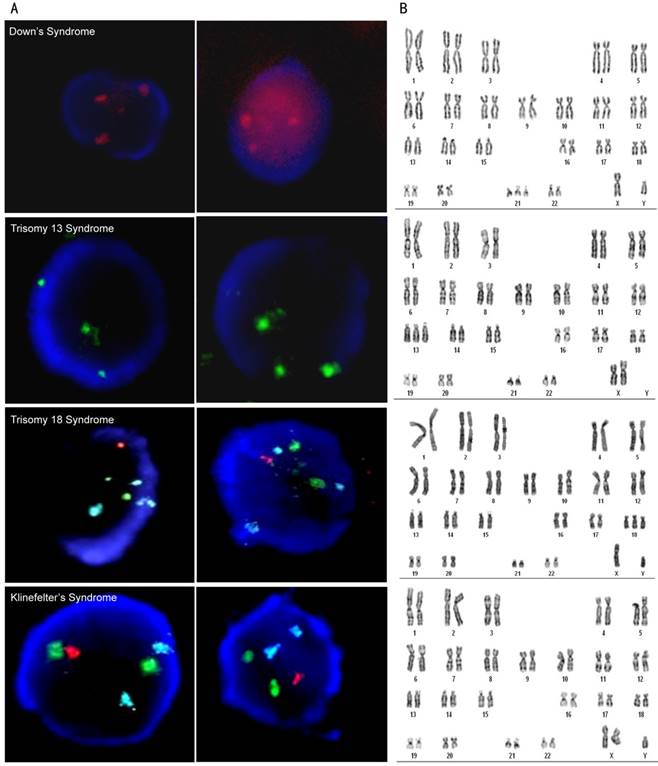 Theranostics Image