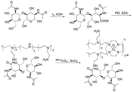 Theranostics Image