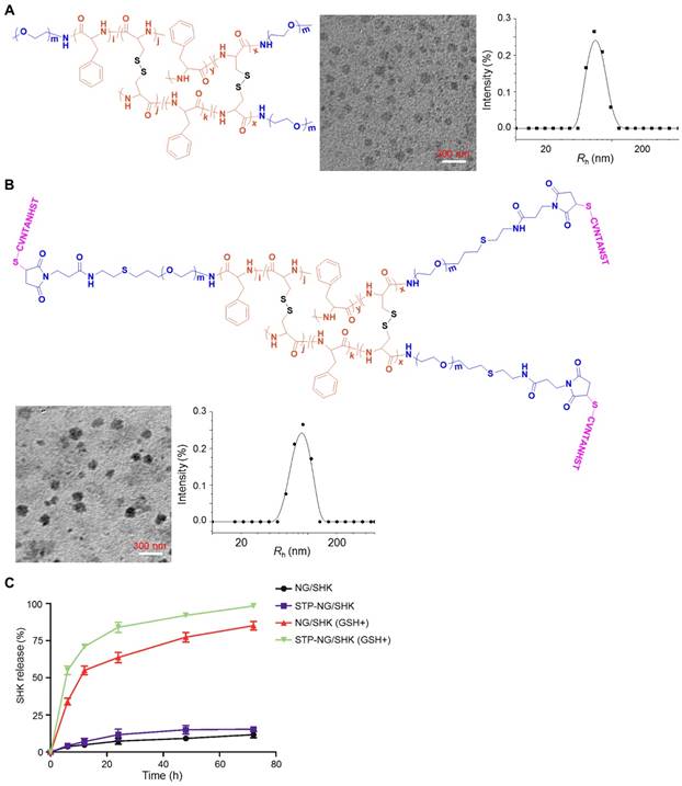 Theranostics Image