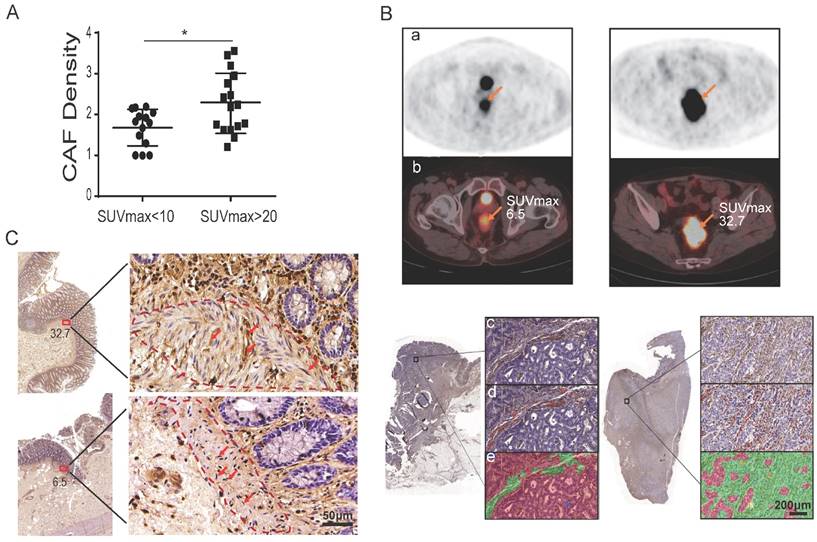 Theranostics Image