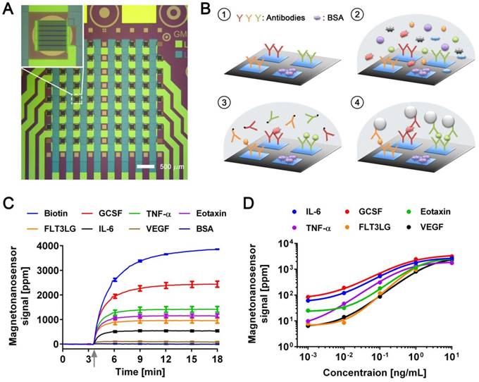 Theranostics Image