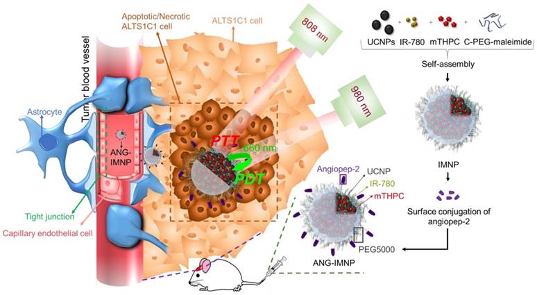 Theranostics Image