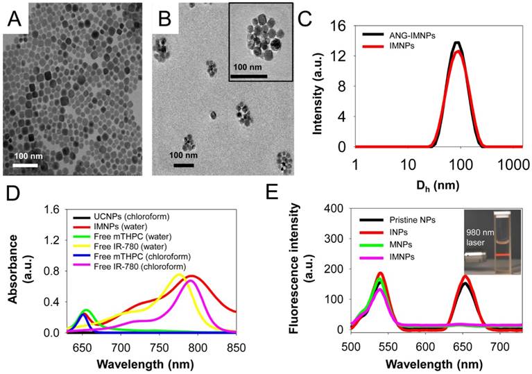 Theranostics Image