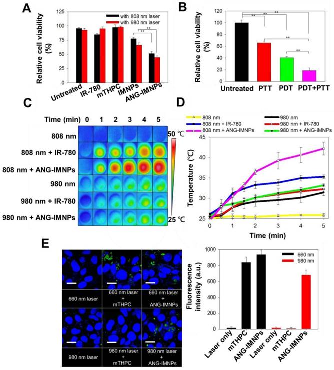 Theranostics Image