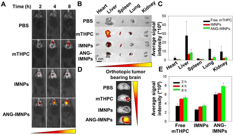 Theranostics Image