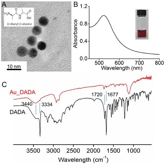 Theranostics Image