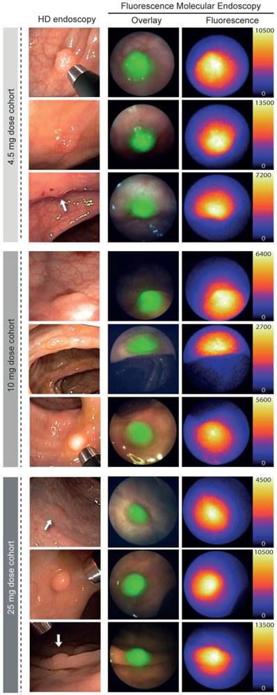 Theranostics Image