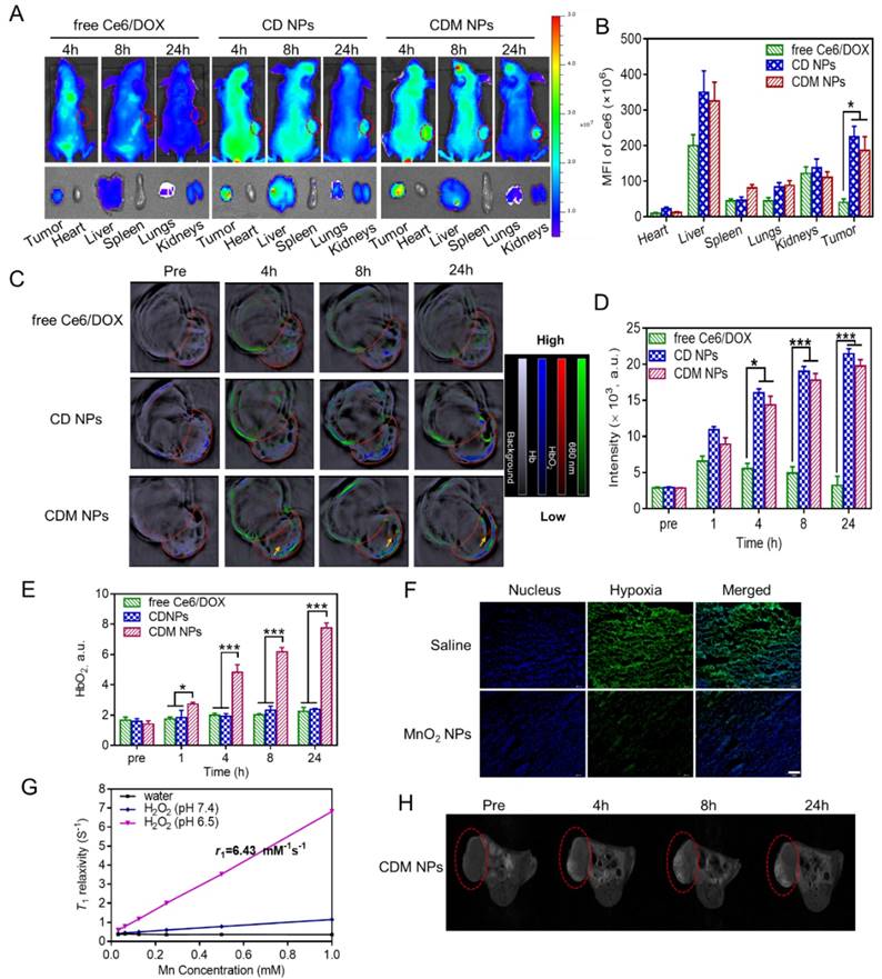 Theranostics Image