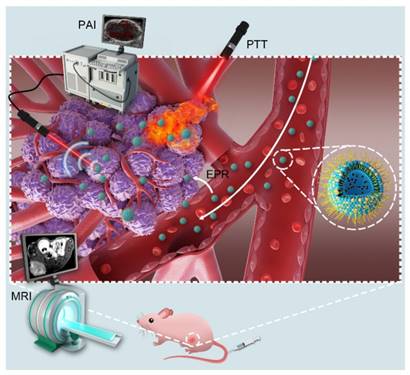 Theranostics Image