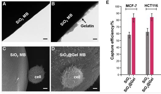 Theranostics Image