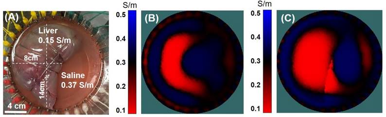 Theranostics Image