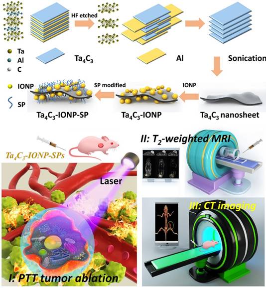 Theranostics Image