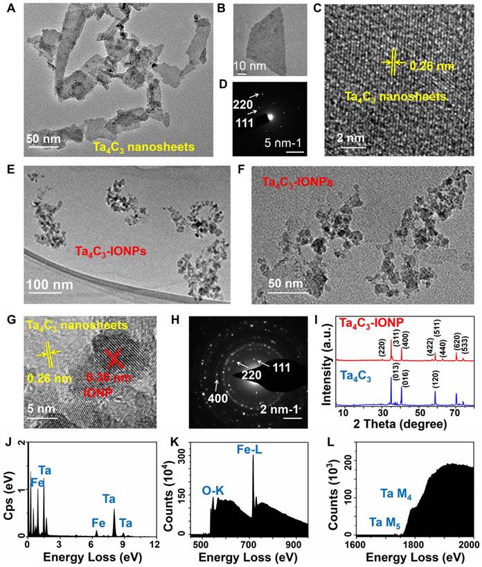 Theranostics Image